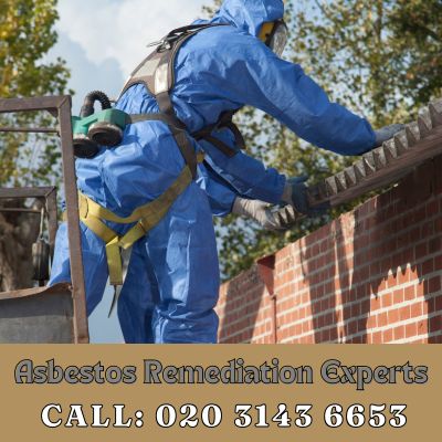 Asbestos Remediation Experts Crayford