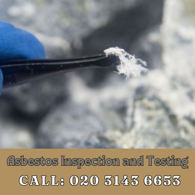 Comprehensive Asbestos Inspection and Testing Services in Crayford